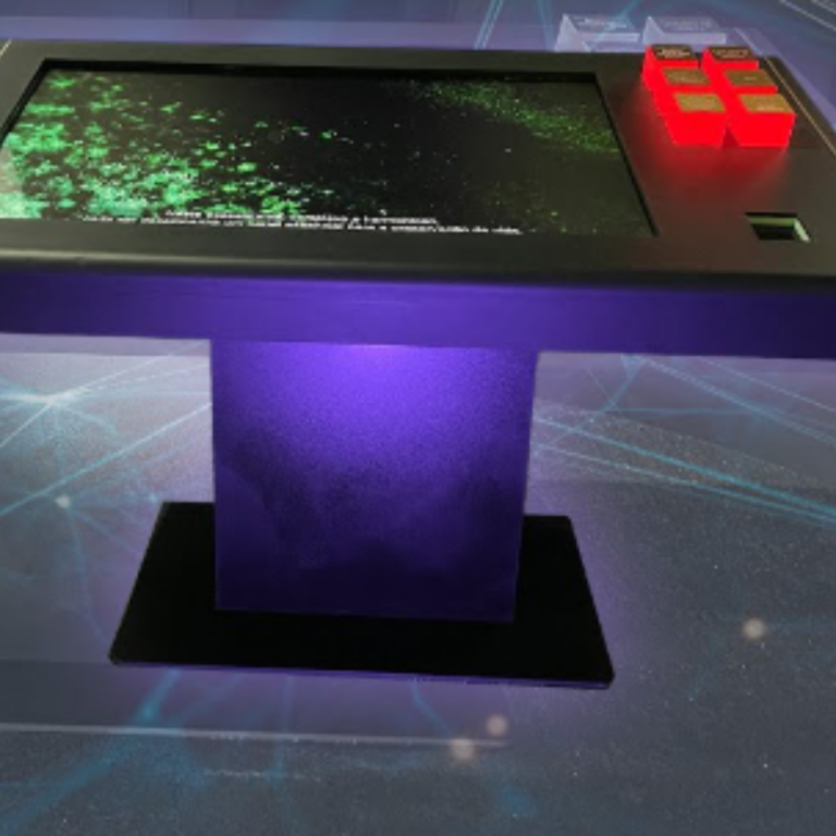 Design sem nome (38)